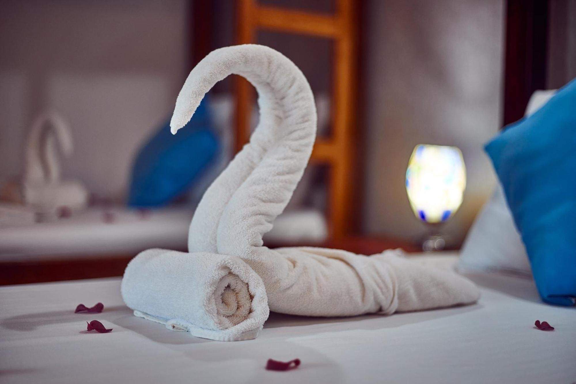 Emerald Dreams Boutique Hotel Michamvi 외부 사진